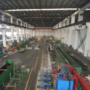 Xizhong Plant 4