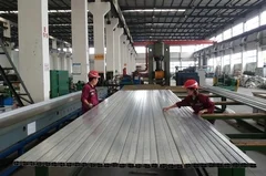 Multi-cavity Aluminum Profile
